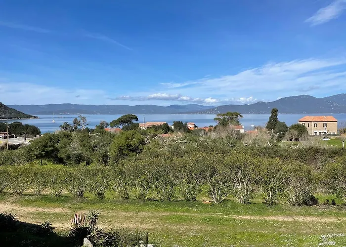 Lavallee 2* カンポモロ