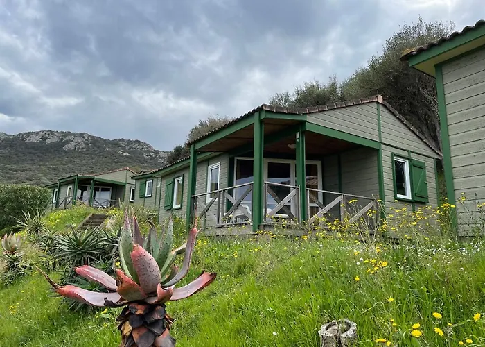 Lavallee 2* カンポモロ