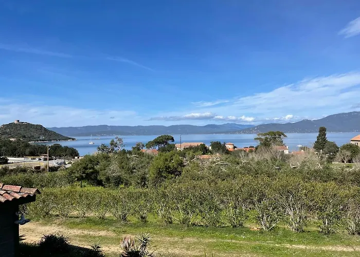 Lavallee カンポモロ