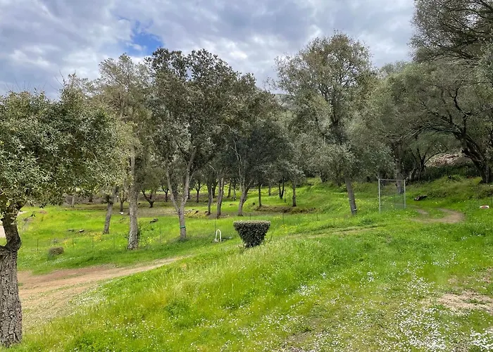 Lavallee カンポモロ